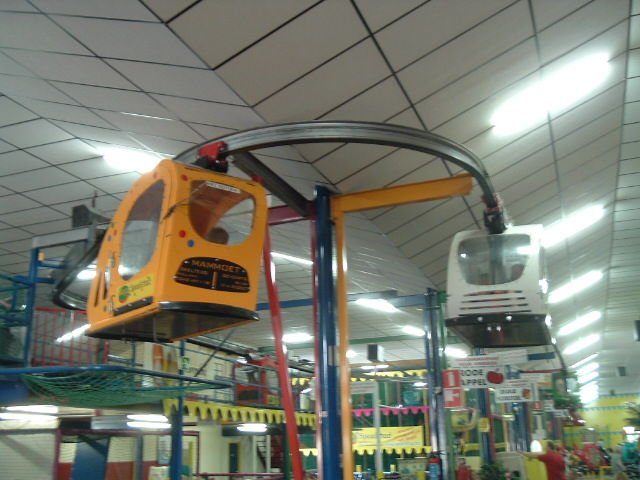 upic136313