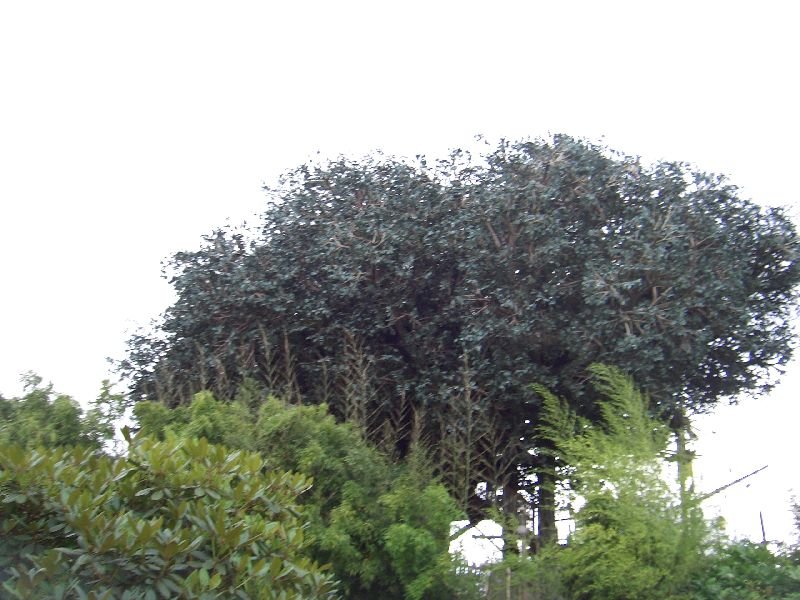 upic170968