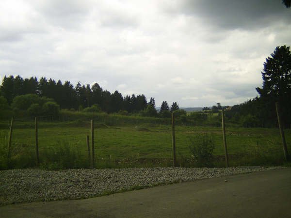 upic29709