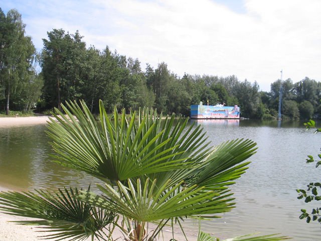 upic30387