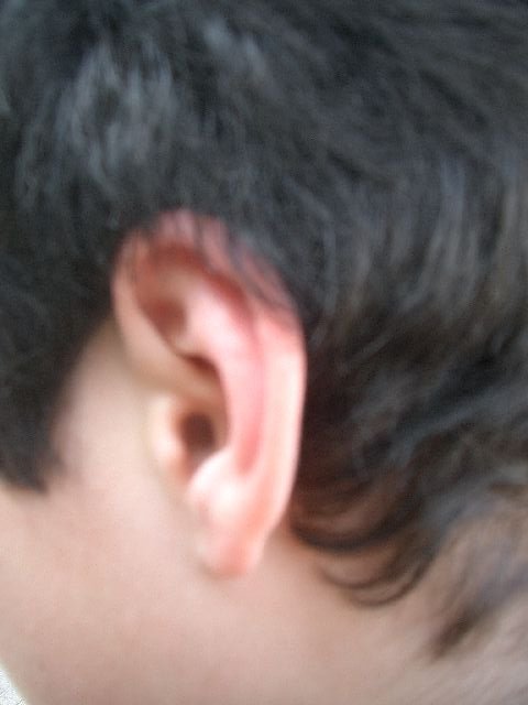 upic68229