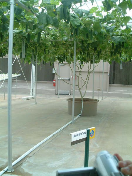 upic84949